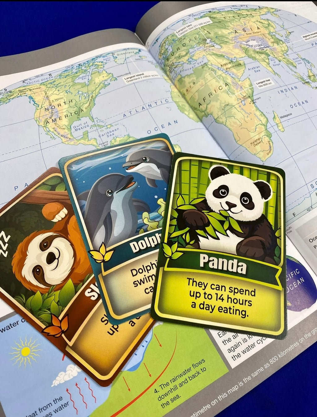 Animal Match – Educational Card Game for Kids (Ages 5+) - Used in UK primary schools.