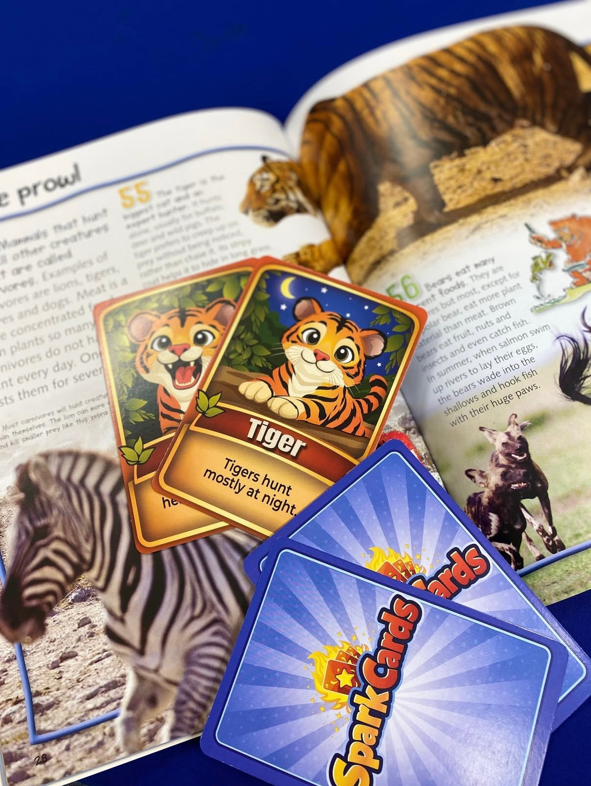 Animal Match – Educational Card Game for Kids (Ages 5+) - Used in UK primary schools.