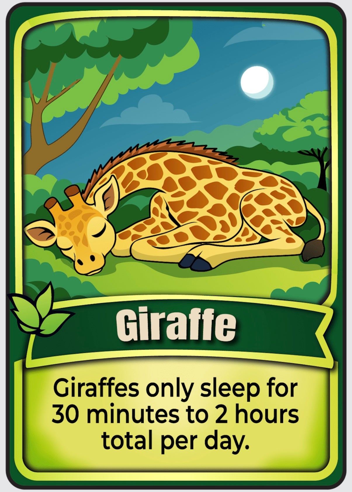 Animal Match – Educational Card Game for Kids (Ages 5+)